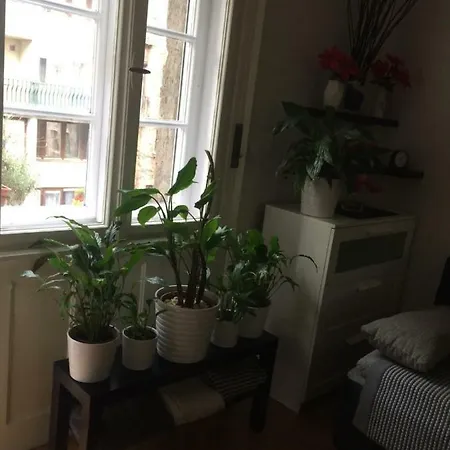 Sunshine Apartamento